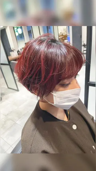 ショート カラー 宮下 弦也のヘアスタイル