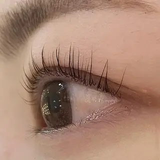 マツエク・マツパ Celeste Venus所属・🧸Celeste Venusのマツエク・マツパデザイン