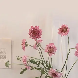 noné所属・アイリスト kanonの眉毛・アイブロウイメージ