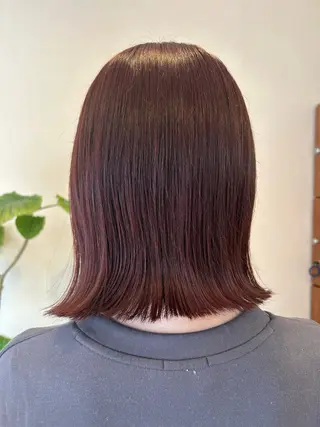 カラー 🧡森川 梨々香🧡のヘアスタイル