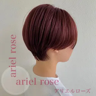 ショート カラー 艶髪レイヤーの王 復活の大澤竜馬のヘアスタイル