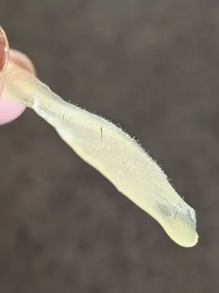 山城 悠菜のエステ・リラクイメージ