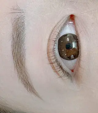 アイブロウ EYELA 土浦店 幕内のマツエク・マツパデザイン