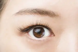 マツエク・マツパ 無料🪹 マツエクモデル募集中のマツエク・マツパデザイン