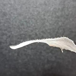 脱毛サロン Terry所属・脱毛サロン Terryのエステ・リラクイメージ