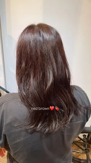 セミロング カラー おくにし はなのヘアスタイル