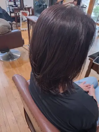 ミディアム 💚ᩚMISAKI/ 艶髪カラー💚ᩚのヘアスタイル