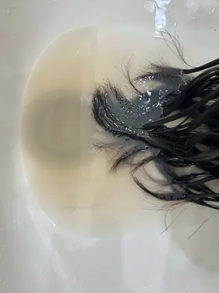 ミディアム la coiffure de excel 中央林間店所属・カラーモデル募集中/ ともみのヘアスタイル