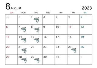 マツエク・マツパ sara 荒井店のヘアスタイル