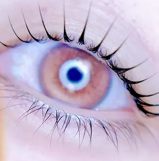 マツエク・マツパ eyelist. mizuki🐈‍⬛のマツエク・マツパデザイン