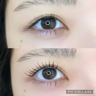 マツエク・マツパ TIARA池袋西口店 店長YASUKA💐のマツエク・マツパデザイン