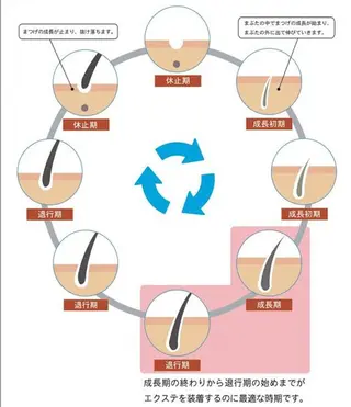 マツエク・マツパ eyelash presh yukaのマツエク・マツパデザイン