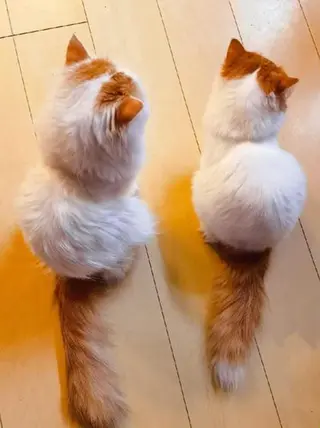 ネイル NFY-ちあき オフなし限定割引のネイルデザイン