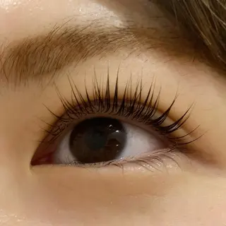 マツエク・マツパ Celeste Venus所属・🧸Celeste Venusのマツエク・マツパデザイン