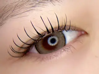 マツエク・マツパ tomte トムテのマツエク・マツパデザイン