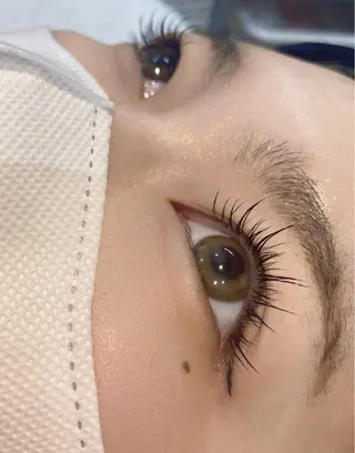 ใใใจใฏใปใใใ .ula ๐จ๐๐๐๐ใฎใใใจใฏใปใใใใใถใคใณ