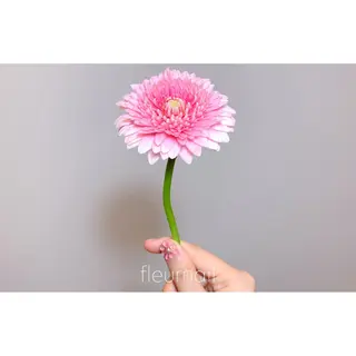 ネイル 【パラジェル登録サロン】nail pollen所属・fleurnail miuraのネイルデザイン