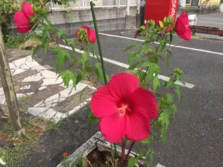 オールハンドエステ フレスコのエステ・リラクイメージ