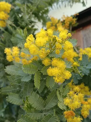 千の樹所属・久保・女性専用 美咲のエステ・リラクイメージ