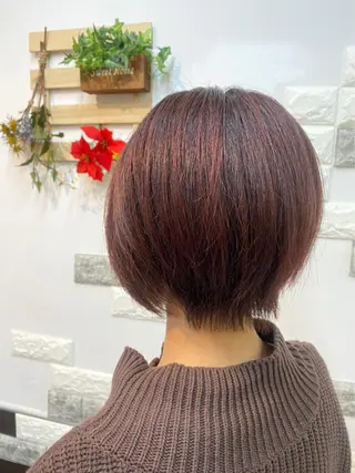 ショート カラー ショートボブ✨️ 池田芽生のヘアスタイル