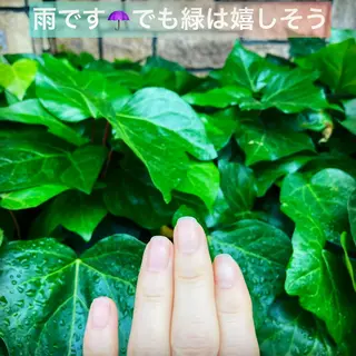 メンズ ネイル ハンドケア＆ネイルケア桃の木所属・ケアリスト🍀 マリユキのネイルデザイン