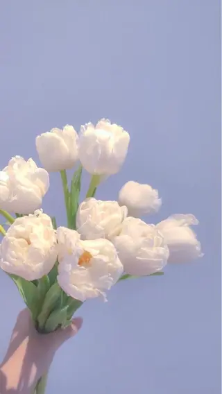 カラー 韓国風ヘア/パーマ ♡あゆのヘアスタイル