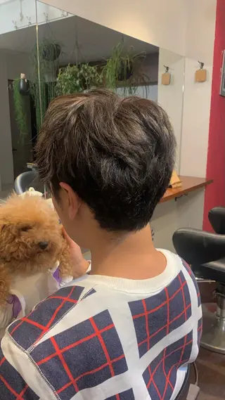 カラー メンズ 柔らかブラウン/顔周 りレイヤー♡ユウシのヘアスタイル