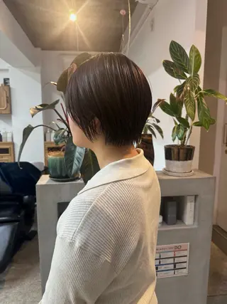 ショート palve【パーヴ】 ショウ🧸/パーマのヘアスタイル