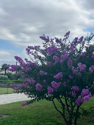 ecarg表参道店 KARIN🌷🫧のマツエク・マツパデザイン