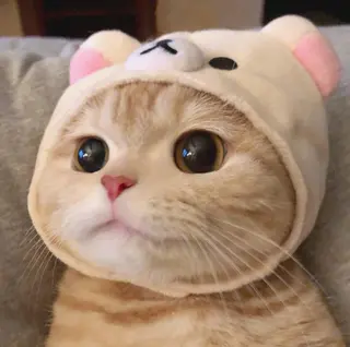 マツエク・マツパ まつげパーマ専門店 FOI　新宿のマツエク・マツパデザイン