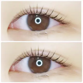 マツエク・マツパ 𓇼shiho𓇼 .のマツエク・マツパデザイン