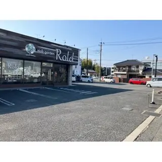 坂本 明子のヘアスタイル