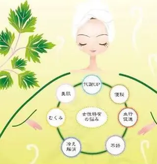 【進化系よもぎ蒸しｘリンパケア】YOSAPARK イヴ　西国分寺所属・YOSAPARK イヴ西国分寺本店のエステ・リラクイメージ