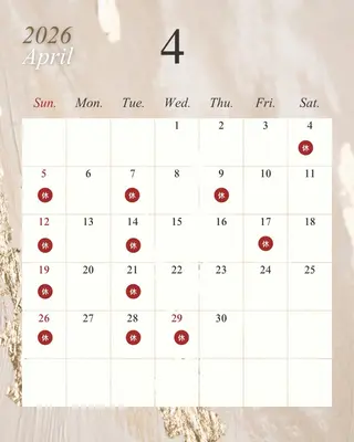 マツエク・マツパ 《目元分析》 似合うまつ毛提案のマツエク・マツパデザイン