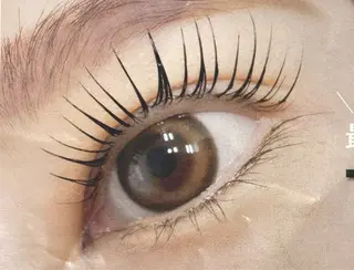 マツエク・マツパ サブスク🩵 EYEのマツエク・マツパデザイン