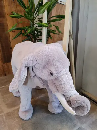 エスウォーク松井 俊男のヘアスタイル