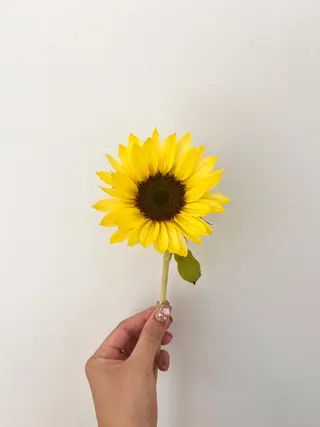 暖色カラー／ ヘアセット🌛櫻井舞のヘアスタイル