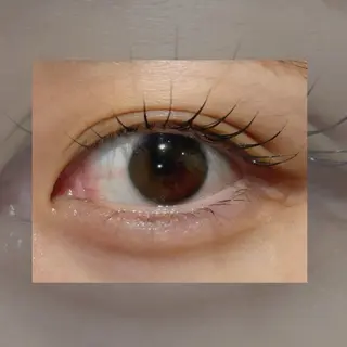 マツエク・マツパ Lucii鹿児島中央×Frill所属・きょうか 🦊のマツエク・マツパデザイン