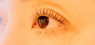 マツエク・マツパ aya 🫧の眉毛・アイブロウイメージ