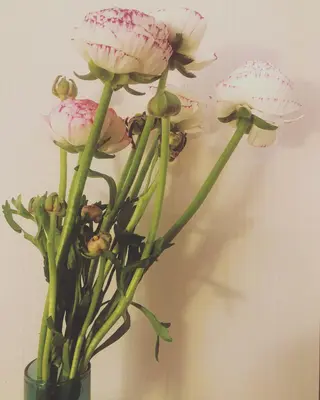 basico  のエステ・リラクイメージ