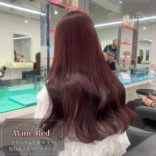 ロング カラー 【ﾐﾆﾓSALE】透 ける艶髪♡ストレートのヘアスタイル