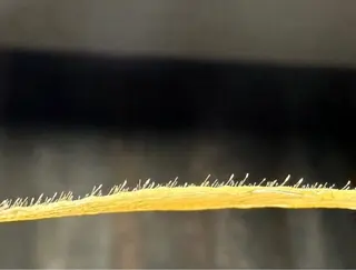 メンズ アイブロウ Hair atelier KEIZO所属・HBL AITO.のエステ・リラクイメージ