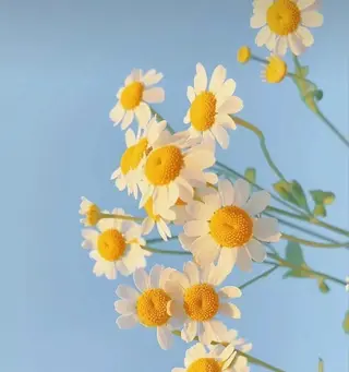 n a t s u k i 🪽ྀིのマツエク・マツパデザイン