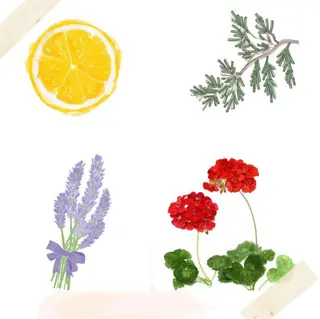 田口 花葉のヘアスタイル