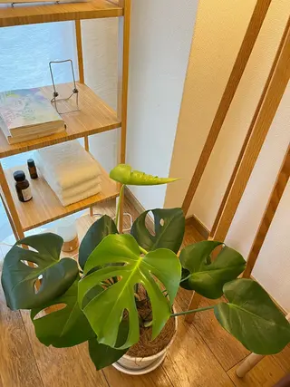 マツエク・マツパ アイラッシュサロン リ・エール所属・清水 惠美子のマツエク・マツパデザイン