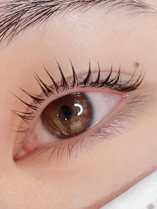 マツエク・マツパ まつ毛と眉毛の専門店 オクターブ福岡店所属・オクターブ天神店 ウラベのマツエク・マツパデザイン