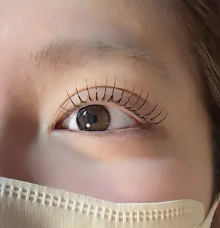 マツエク・マツパ u*Nerine所属・【まつ毛パーマ専門】 u*Nerine堤のマツエク・マツパデザイン