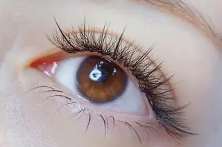 マツエク・マツパ Cute B e au t yのマツエク・マツパデザイン