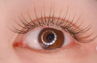 マツエク・マツパ トータルビューティー サロンワンダーのマツエク・マツパデザイン