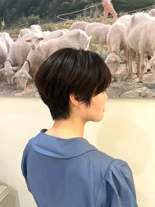 ショート 青山 莉奈のヘアスタイル